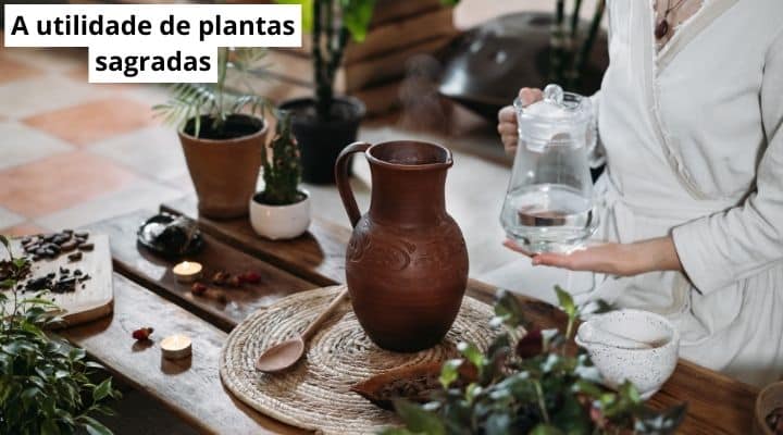 A utilidade de plantas sagradas