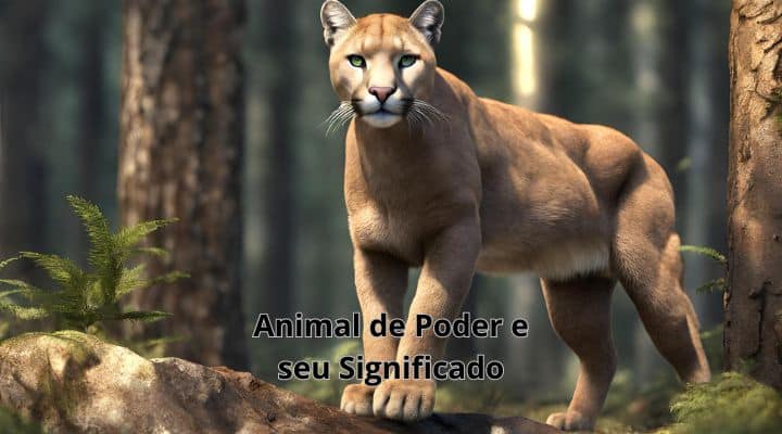 Animal de poder e seus significados